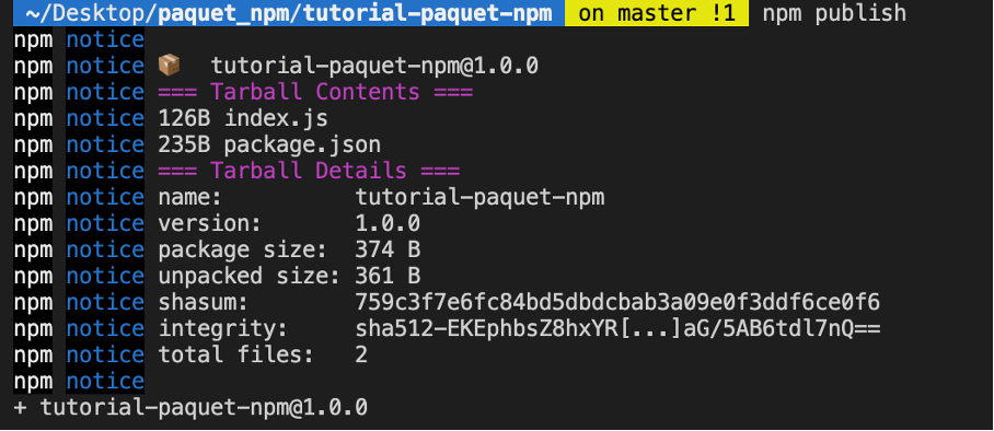 Npm publish capture