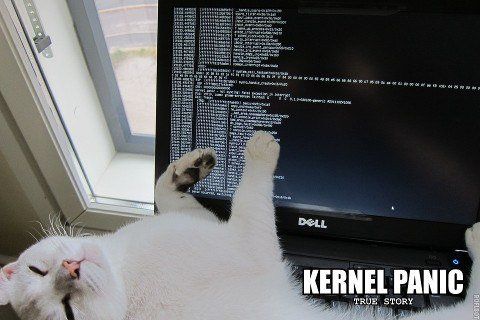 Kernel Panic