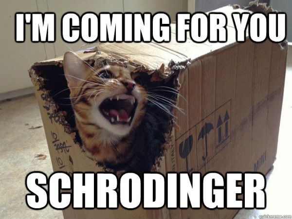 Schrodinger meme