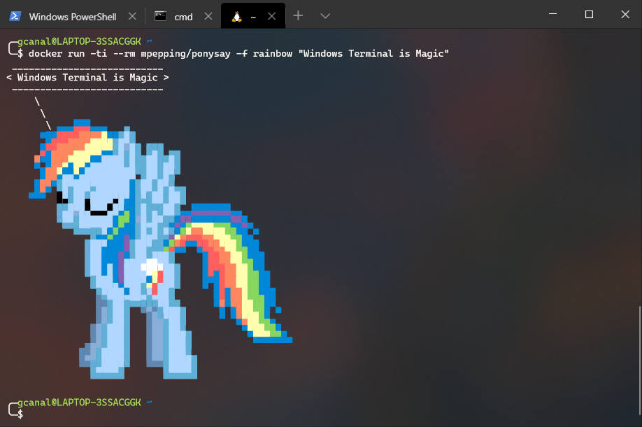 Windows Terminal Windows Terminal