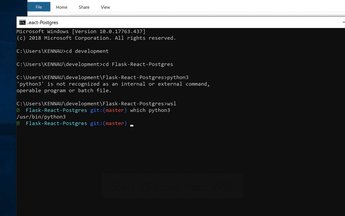 vscode-remote-wsl